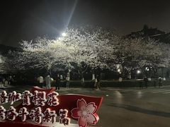 -武汉大学-樱园