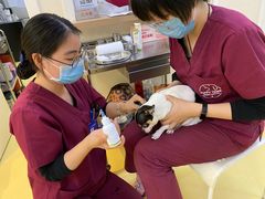 -芭比堂动物医院·犬猫全科·异宠专科(雁塔分院)