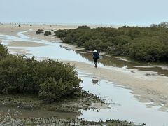 -北海金海湾红树林生态旅游区