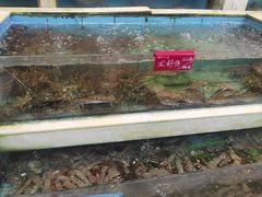 -旺富东海大酒楼(海鲜街店)