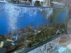 -桔子海鲜烧烤大排档(台东店)