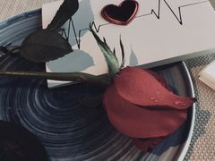 -La Medina餐厅(亮马河南路店)