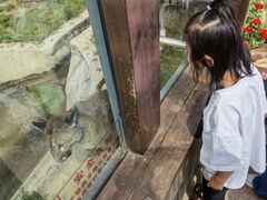 -横道河子东北虎林园