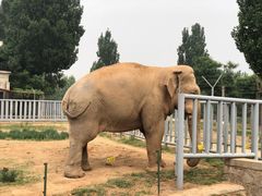 -石家庄市动物园