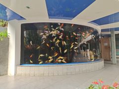 -北国之春国宴(乌兰察布店)