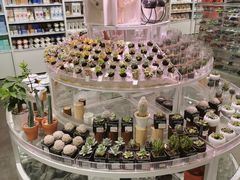 -KKV(深圳kk one 店)
