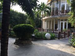 -100蛋泥浆浴