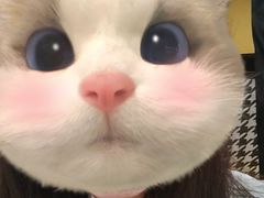-鼎泰中汇广场