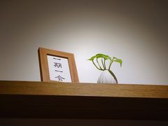 -团子君寿司·茶