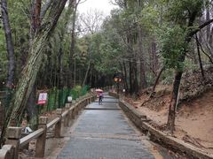 -灵岩山风景区