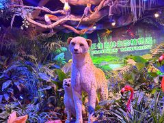 -正佳雨林生态植物园