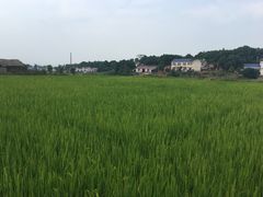 -关山古镇