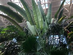 -郑州银基黄帝宫御温泉