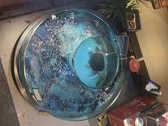 -魏铭鱼头捞饭(晋阳路店)