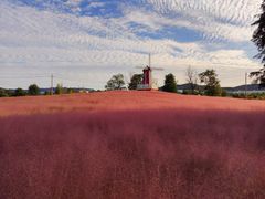 -羊亭河湿地公园