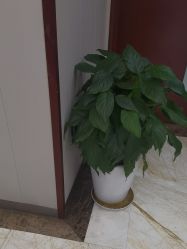 -太原丽都医疗美容医院