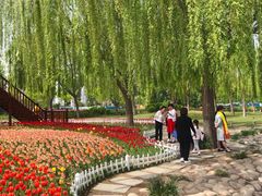 -廊坊文化艺术中心