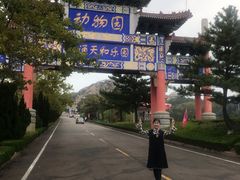 -西霞口神雕山野生动物世界