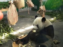 -无锡动物园·太湖欢乐园