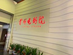 -首都电影院(金融街店 杜比全景声)