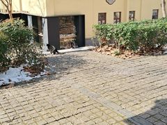 -T80科技文化国际社区-停车场