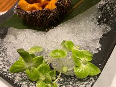 海胆刺身-渡鲑亭(东二环泰禾广场店)