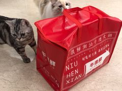 -牛很鲜潮汕牛肉火锅(朝晖路店)