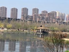 -前关湿地公园