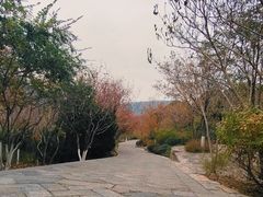 -佛慧山