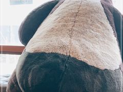 -ZOO COFFEE动物园咖啡(望京锐创店)