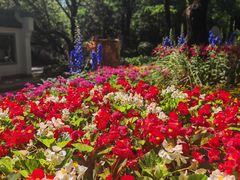 -沈阳植物园