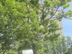 -四海公园(南山区)
