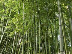 -汇龙潭