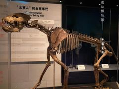 -北京周口店北京人遗址博物馆