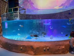 -沈阳海洋探索中心