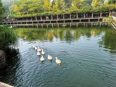 -黄陂区野村谷景区