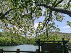 -白马涧龙池景区