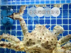 -金龙·打边炉(南京西路店)
