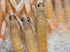 -吉兆·料理(红梅南路店)