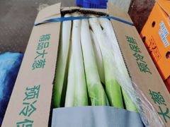 -海吉星国际农产品物流管理有限公司