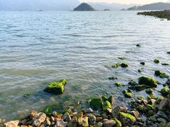 -小桂湾