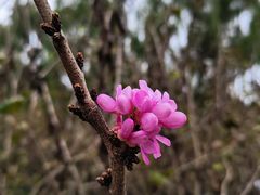 -白塘生态植物园