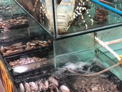 -寻味顺德·南记酒家·传统顺德菜·鱼生(广源路店)