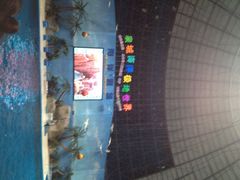iphone_upload_pic-泉城欧乐堡海洋极地世界