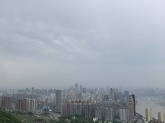 -南山植物园