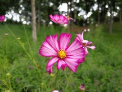 -圣露庄园·草坪婚礼·宴会厅·会议