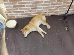 -呼吸沉浸式剧场(甘露园店)