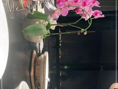 -岁粤Moon·湖景餐厅(月光码头店)