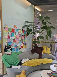 -洗脸猫·洗脸吧(北京大兴大悦春风里店)