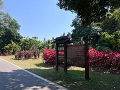 -中国科学院西双版纳热带植物园